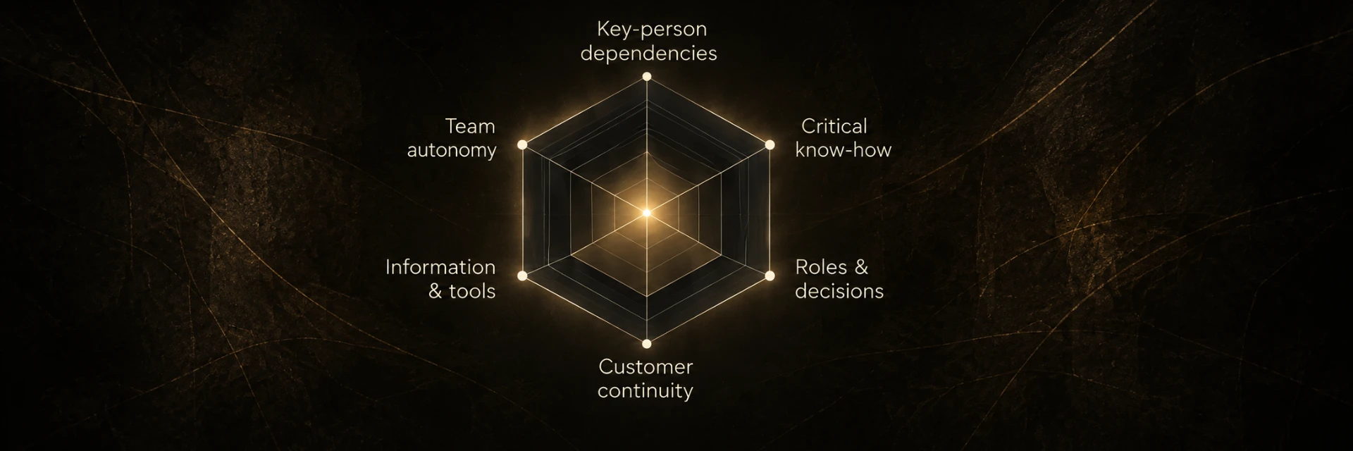 Transferability diagnostic map showing six dimensions of readiness across the organization