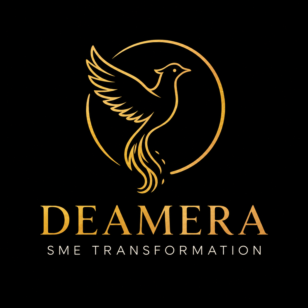 DEAMERA SME Transformation